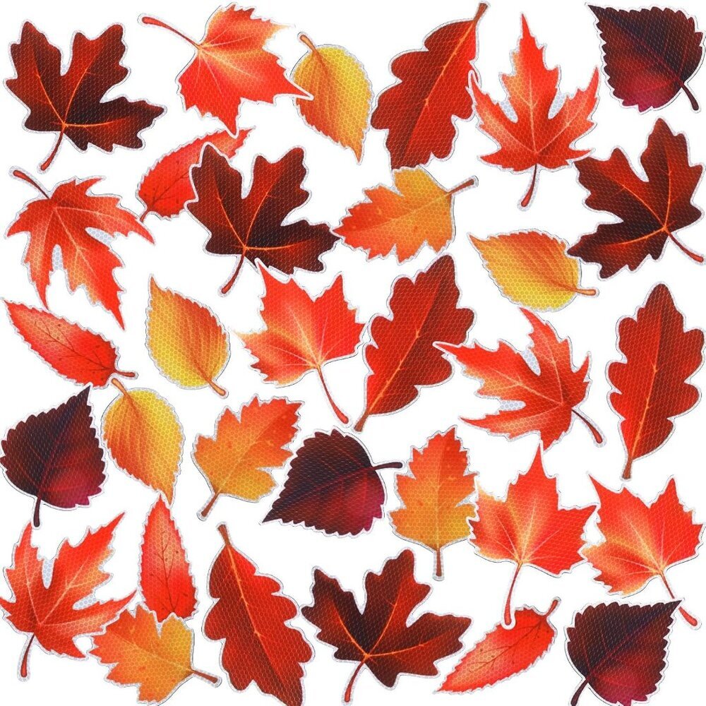 32 Pcs Fall Leaf Magnets Thanksgiving Car Magnets for Fridge Refrigerator Waterp
